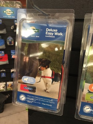 PipSqueak featured on packaging – modeling harness gear for dogs